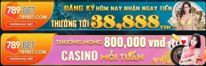 789Bet - Có sự lừa đảo tại sân chơi này của nhà cái không