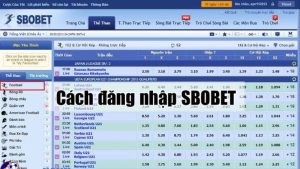 Những điều cần lưu ý khi đăng nhập vào tài khoản Sbobet