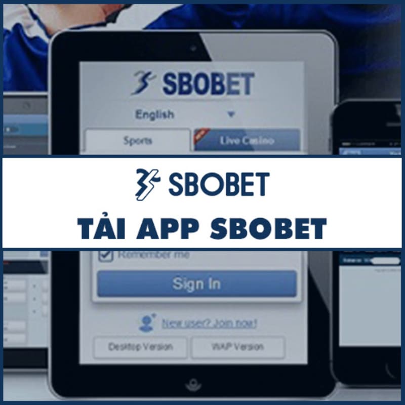 Các bước cài đặt ứng dụng tại nhà cái Sbobet