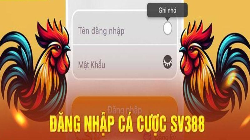 Có những điều kiện gì để truy cập vào SV388?