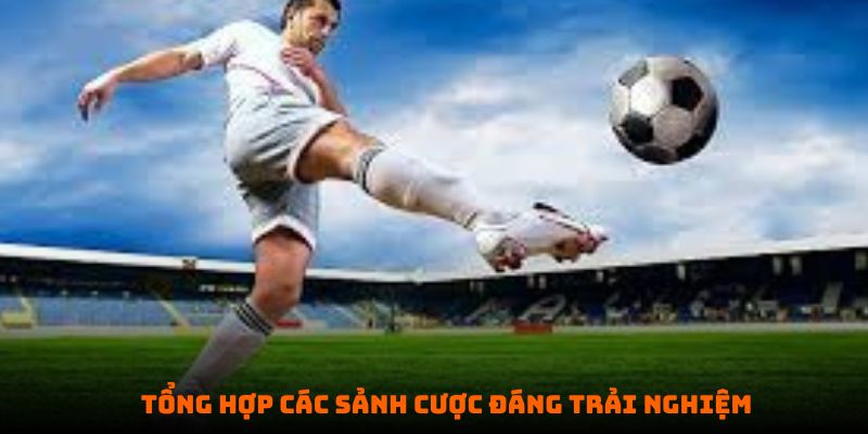 Các sảnh cược đáng trải nghiệm tại Sbobet ai cũng nên thử